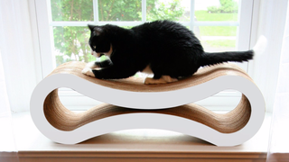 This Discounted Lounger Won't Make Your Cat Love You, But It Will Make Her Happy